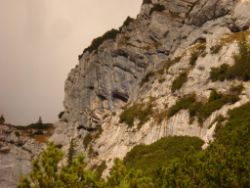 2013-10-08_Guffert (057).JPG